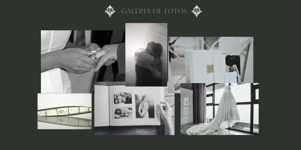 galeria cye